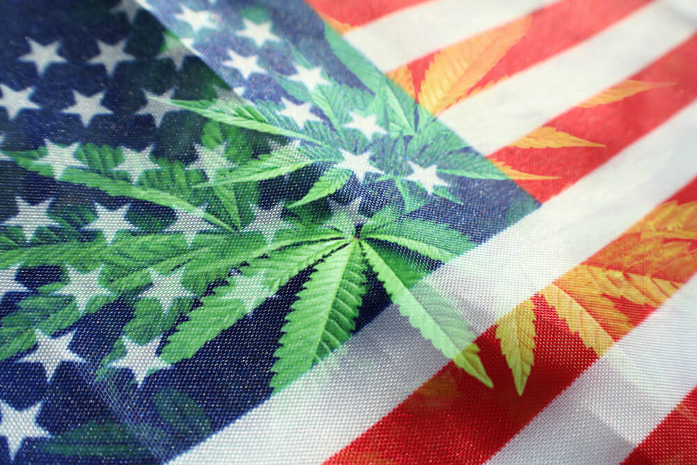 Легализация марихуаны в нью йорке логотип конопля