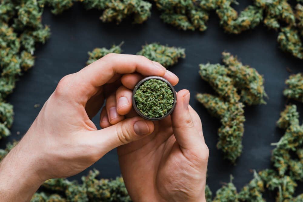 Кисти марихуана как сажают семена конопли