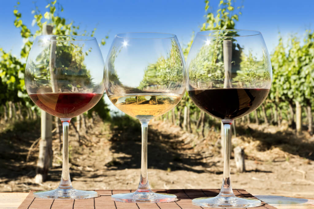 Tasting of red, white, and rosé wine