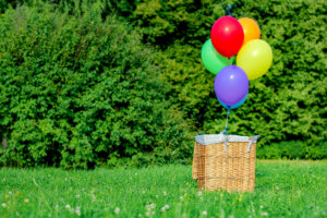 basket with balloons on a green lawn in a park.