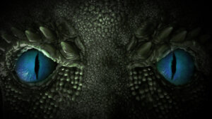 Dragon eye close up